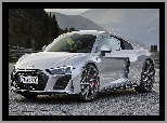 Srebrne, Audi R8 Coupe